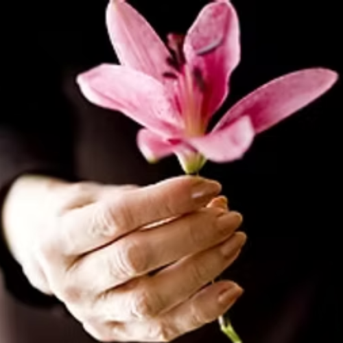 LOSS or GRIEF